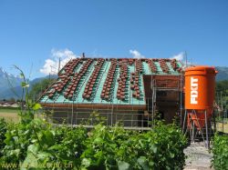 bv000009